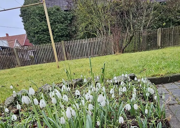 Feelgood Appartamento *